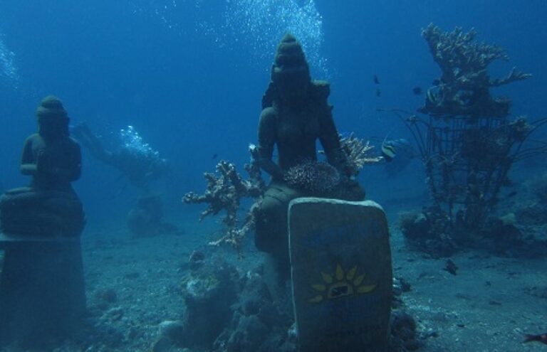ssi-open-water-course