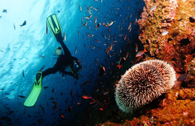 dive_diving_tulamben